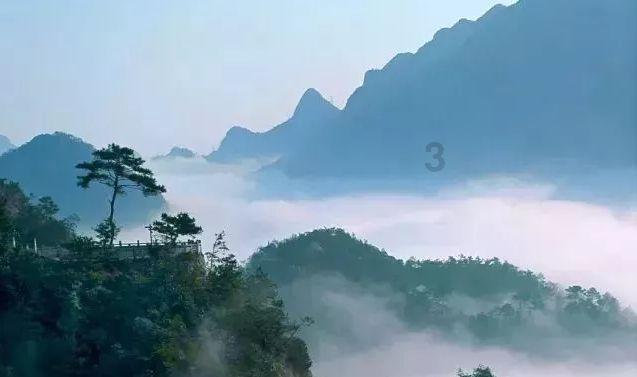 探索知识星球公司领导说,这个女员工综合素质很高,一般人泡不到。什么意思?,汲取知识的乐园